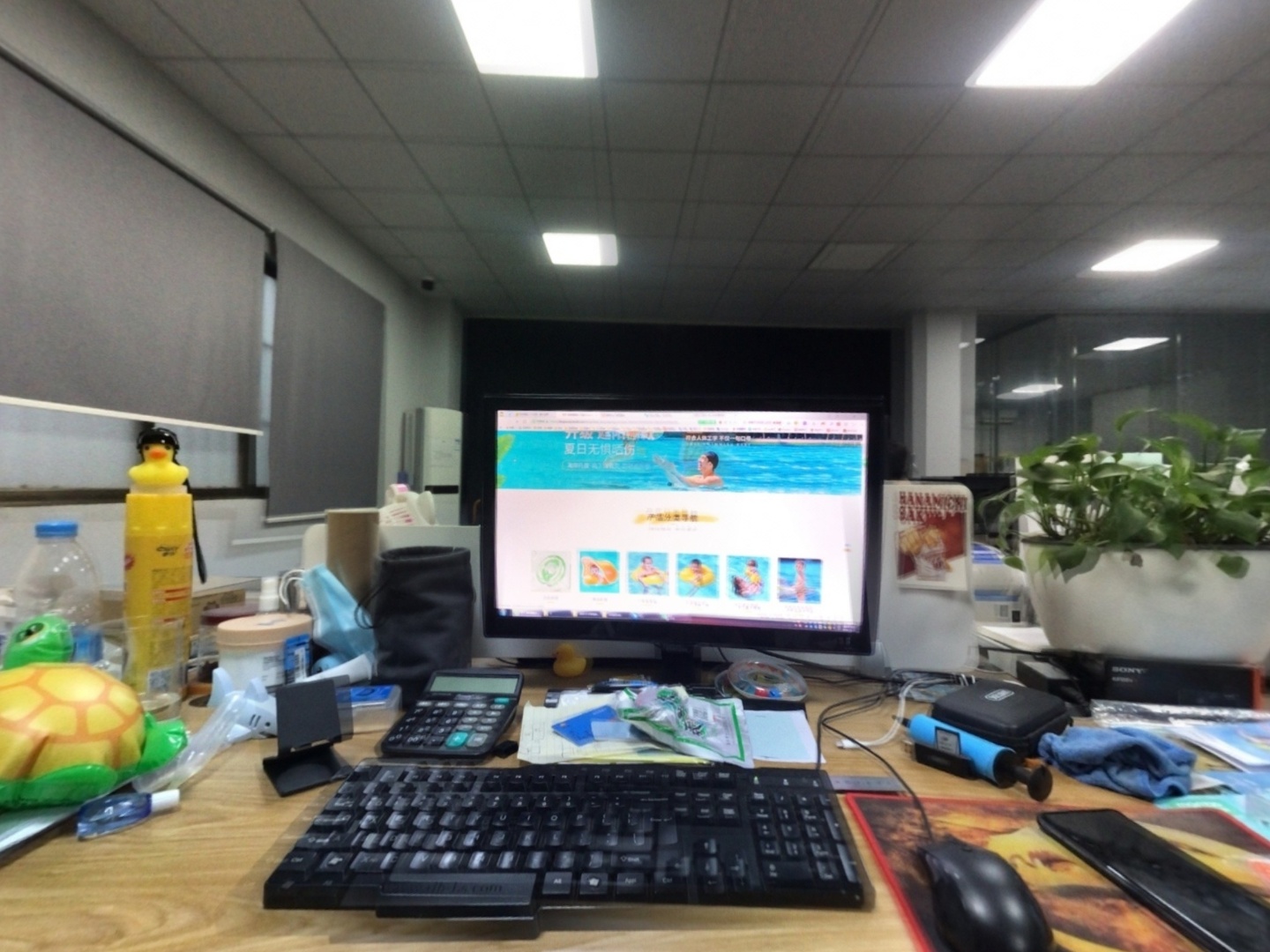 VR预览图