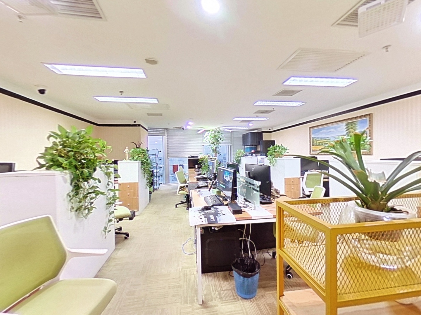 VR预览图