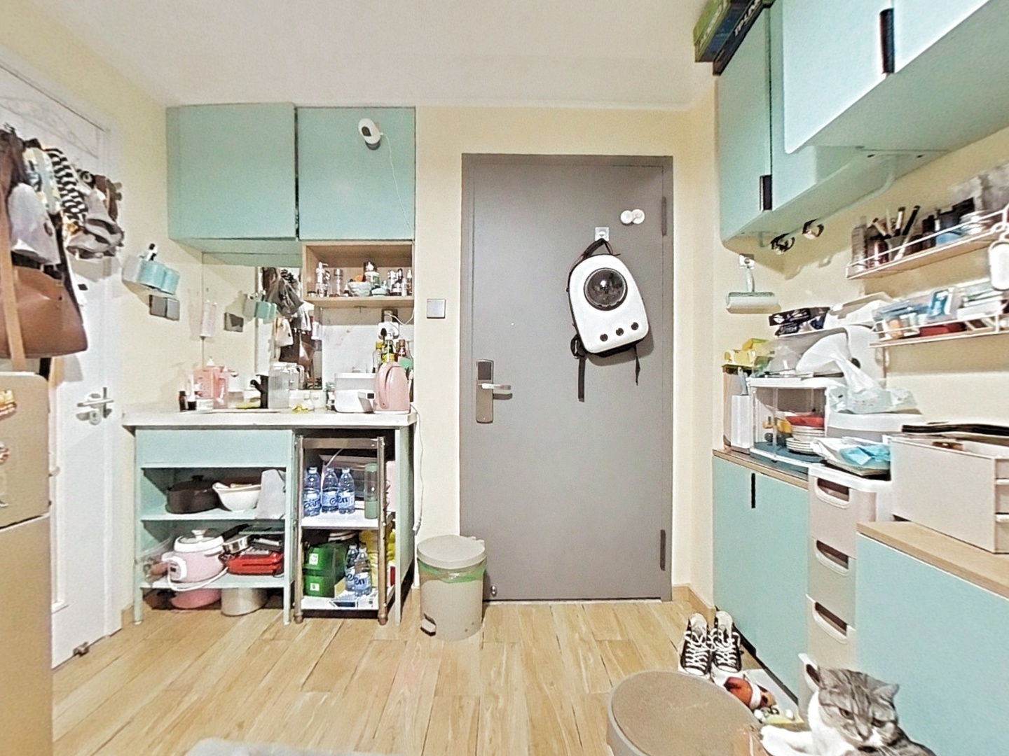 VR预览图
