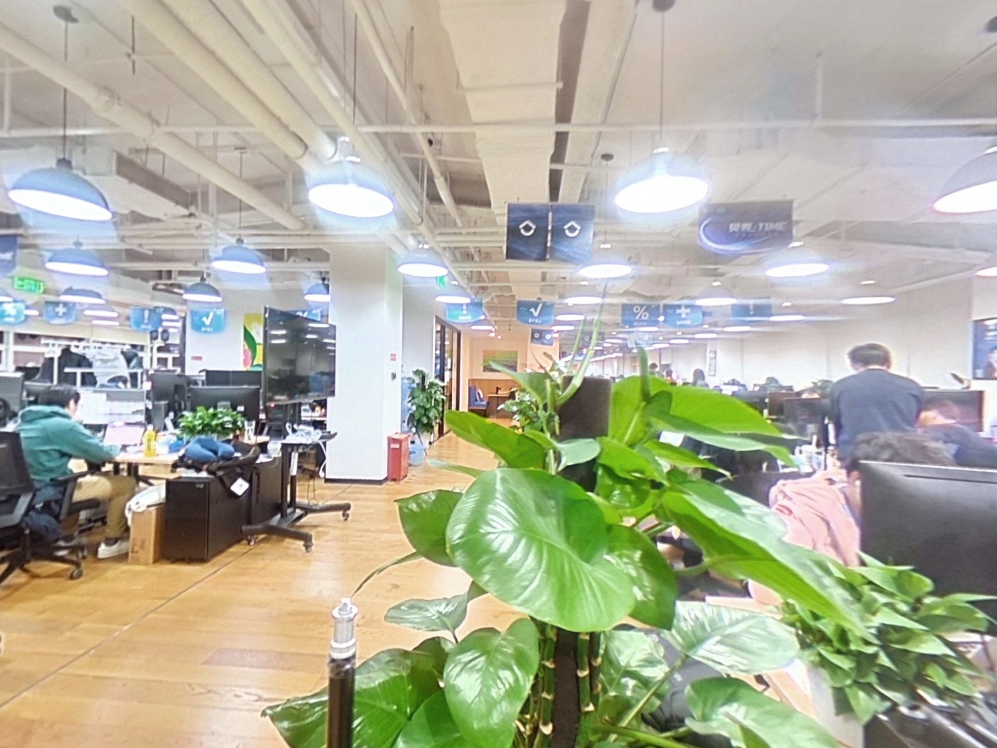 VR预览图