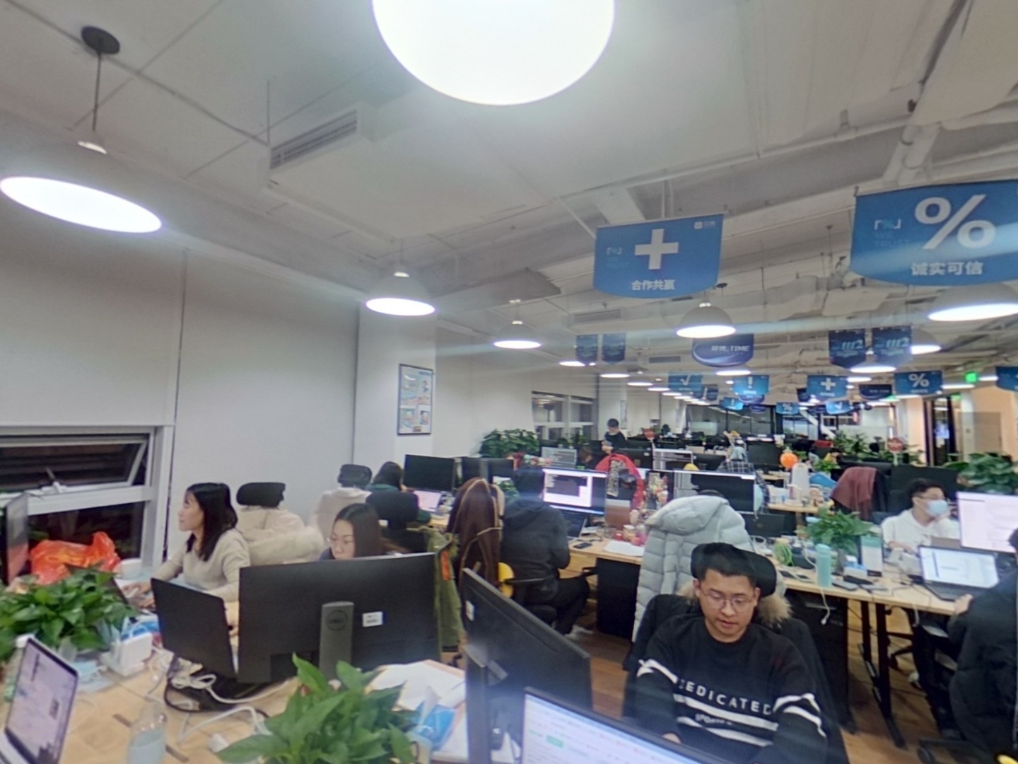 VR预览图