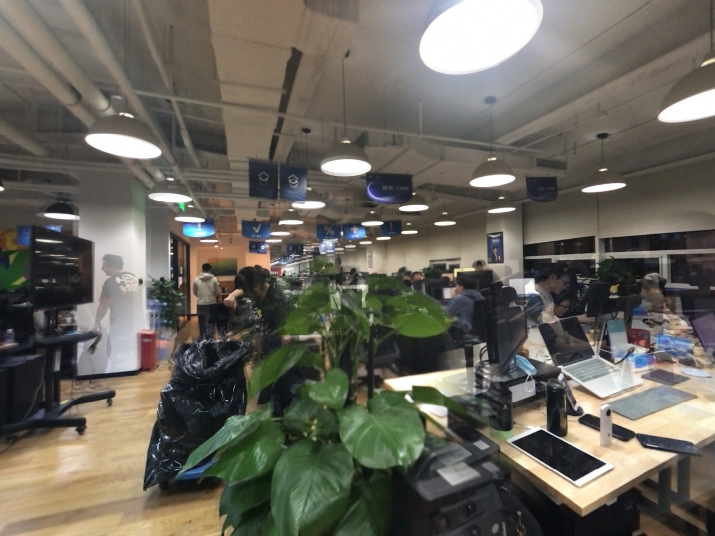 VR预览图