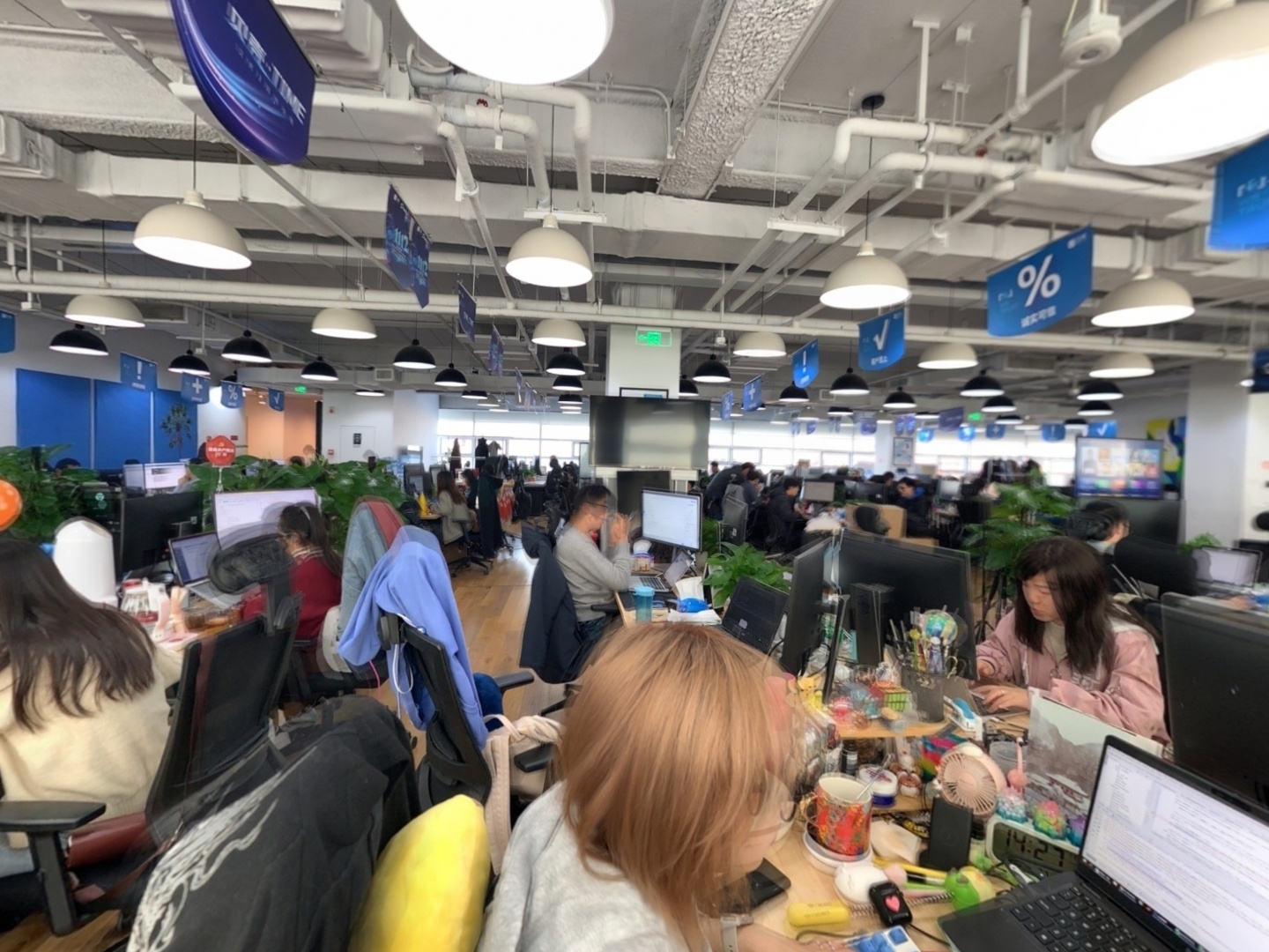 VR预览图