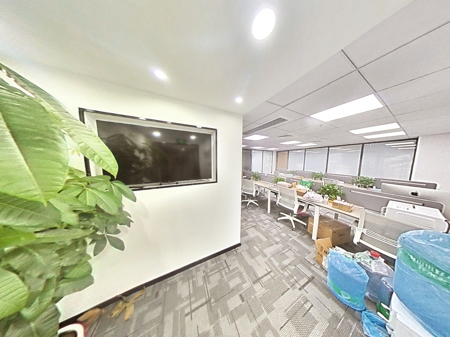 VR预览图