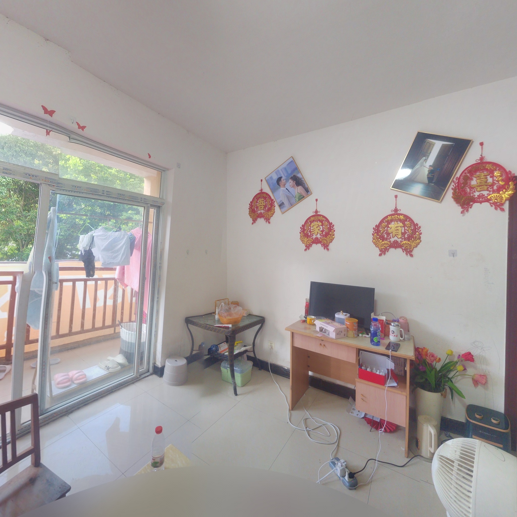 VR预览图