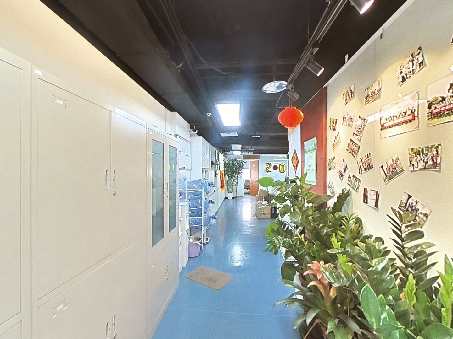 VR预览图
