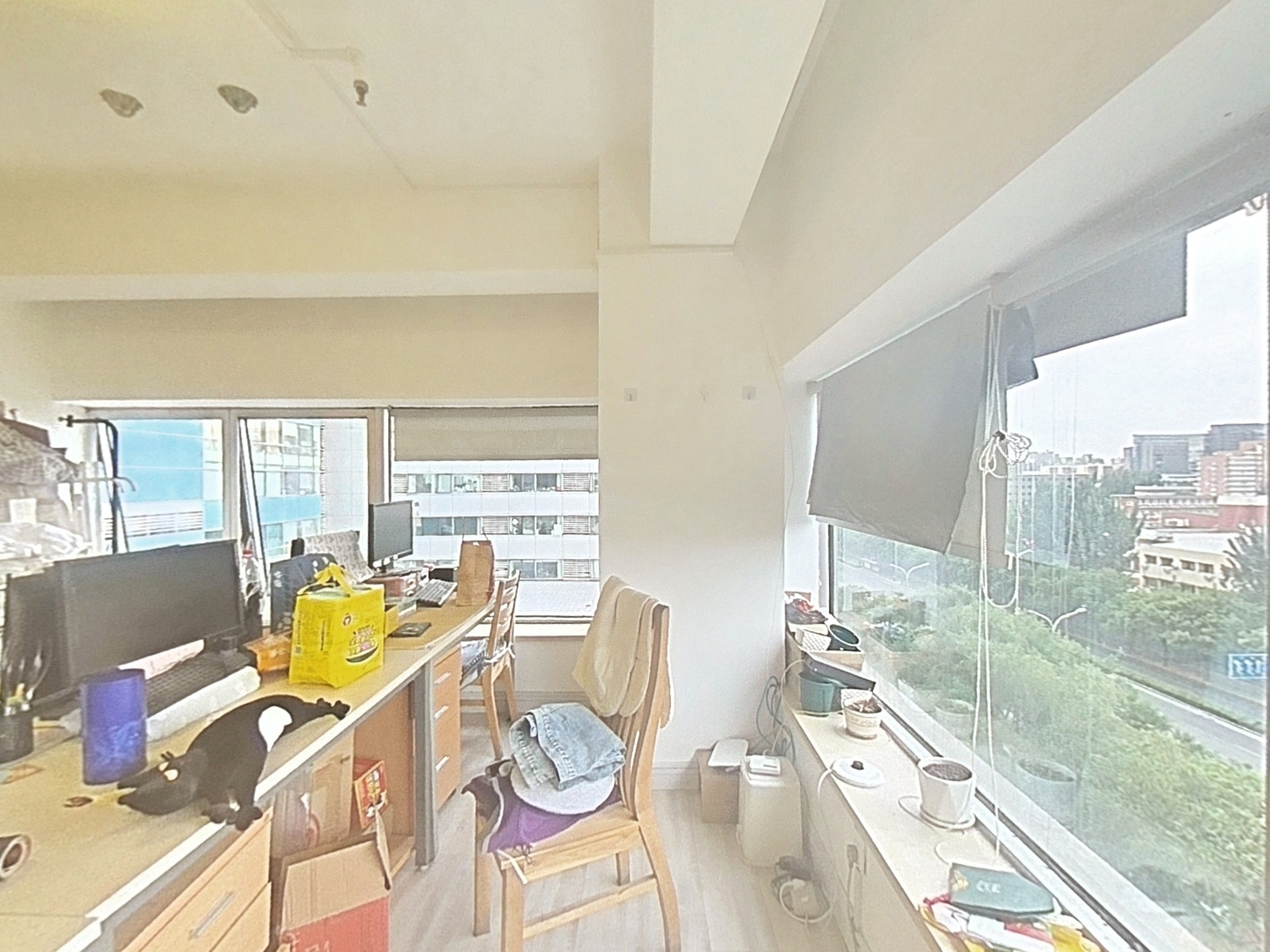 VR预览图
