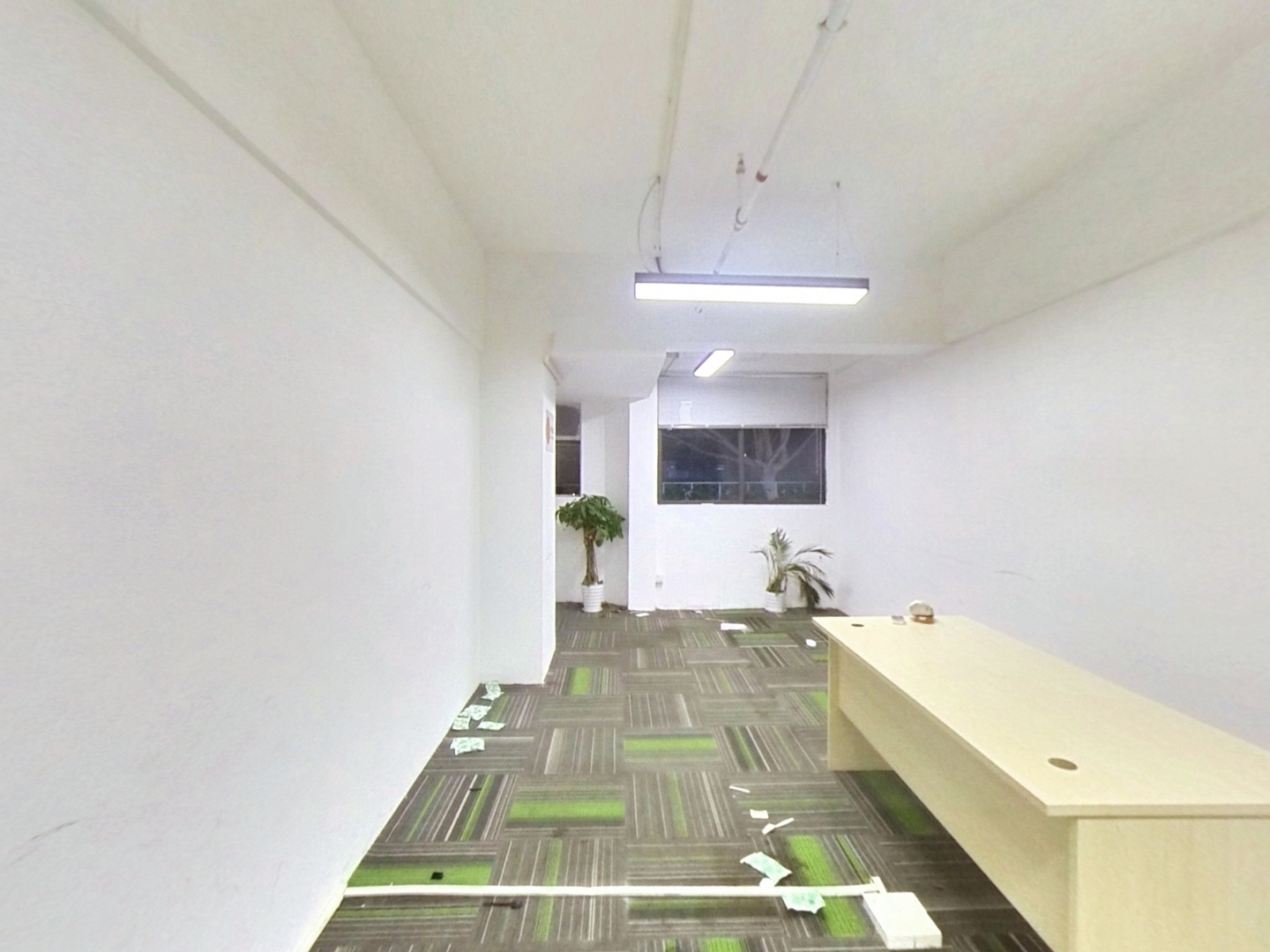 VR预览图