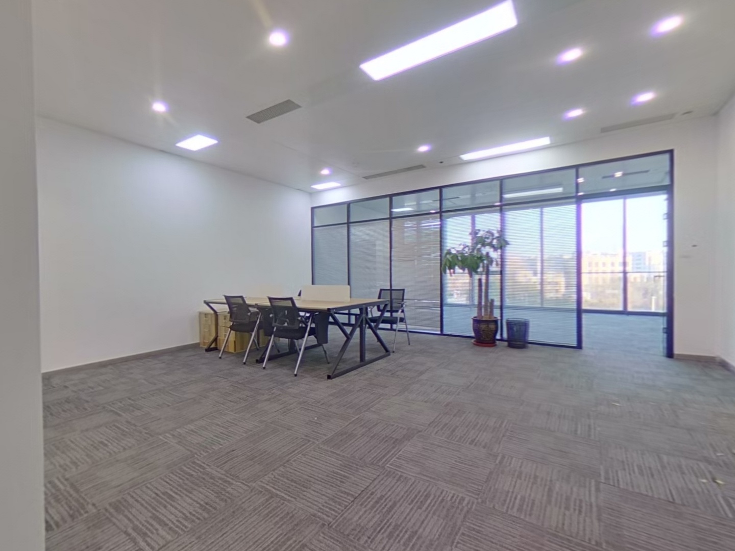 VR预览图