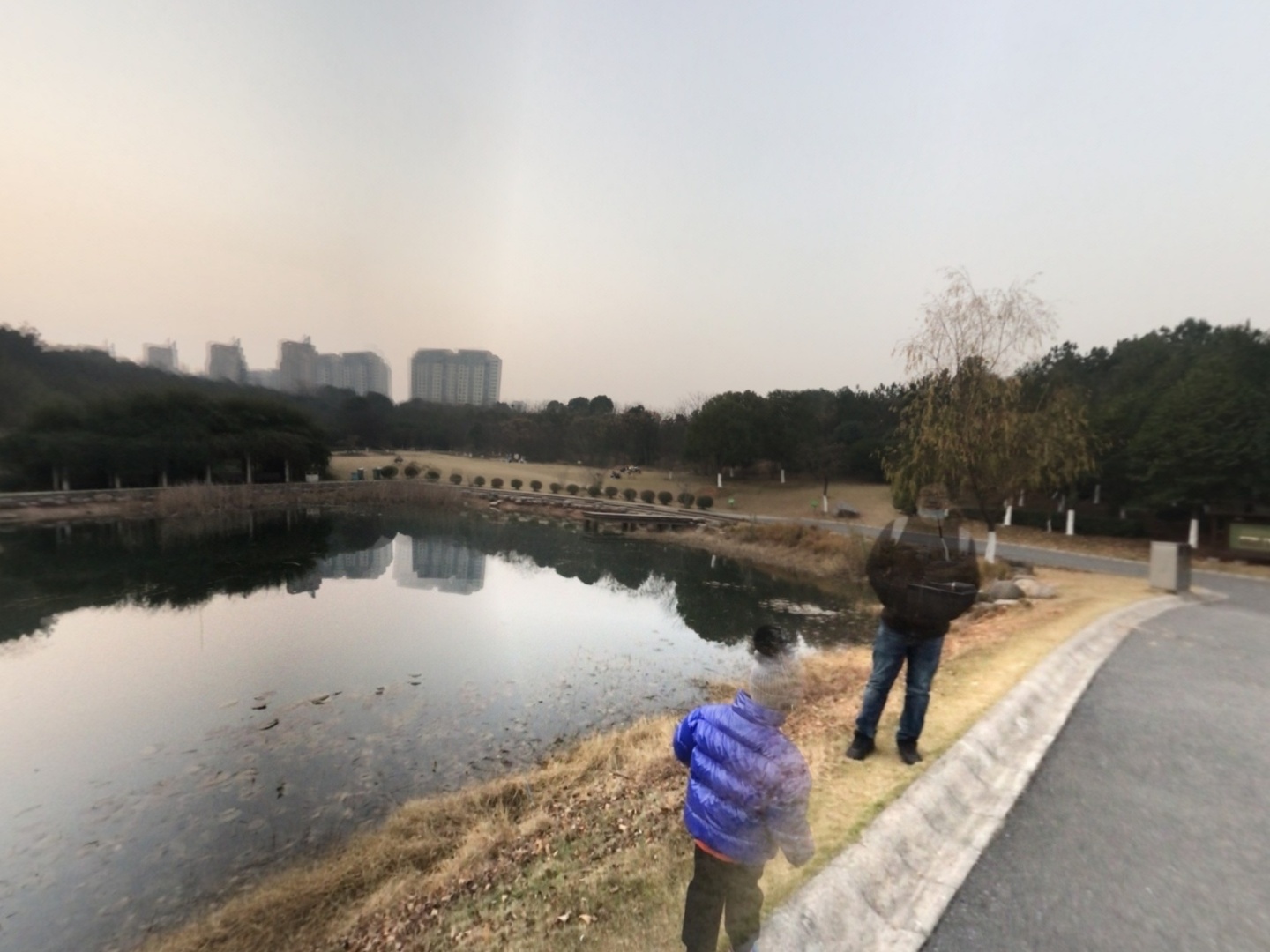 VR预览图