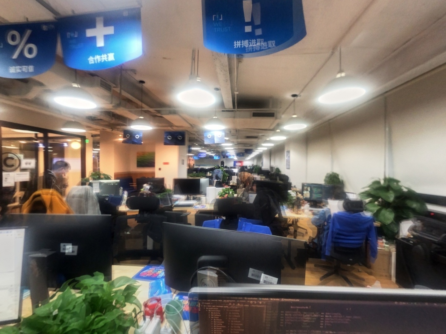 VR预览图