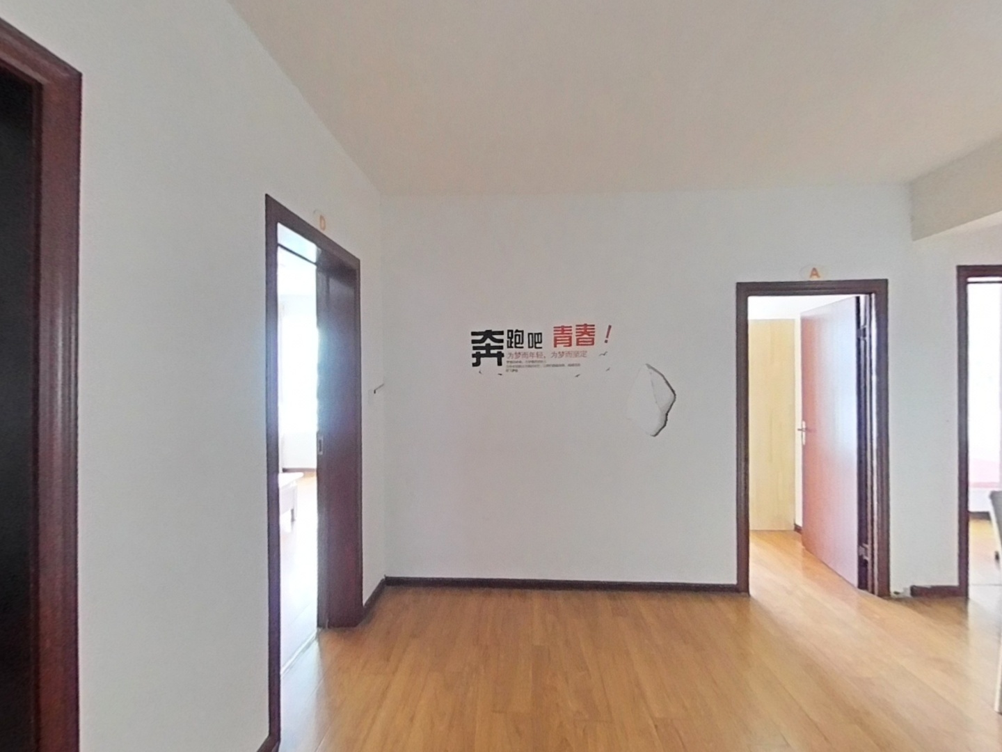 VR预览图