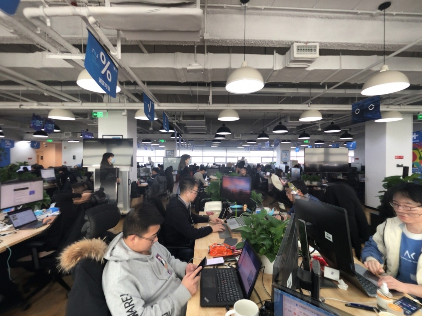 VR预览图