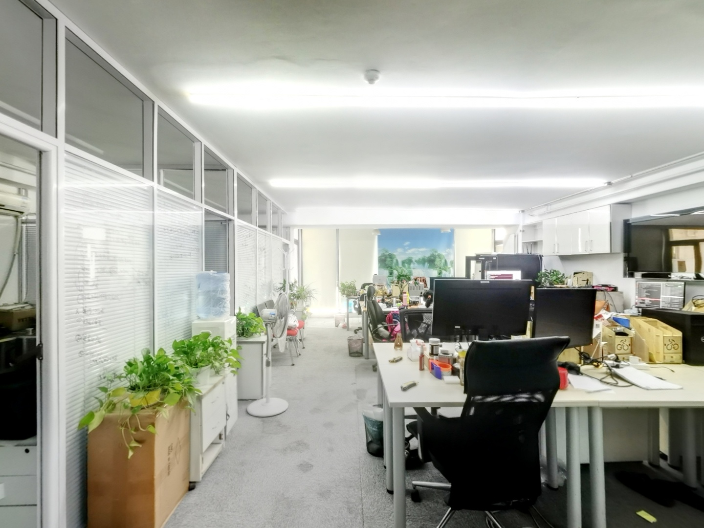 VR预览图