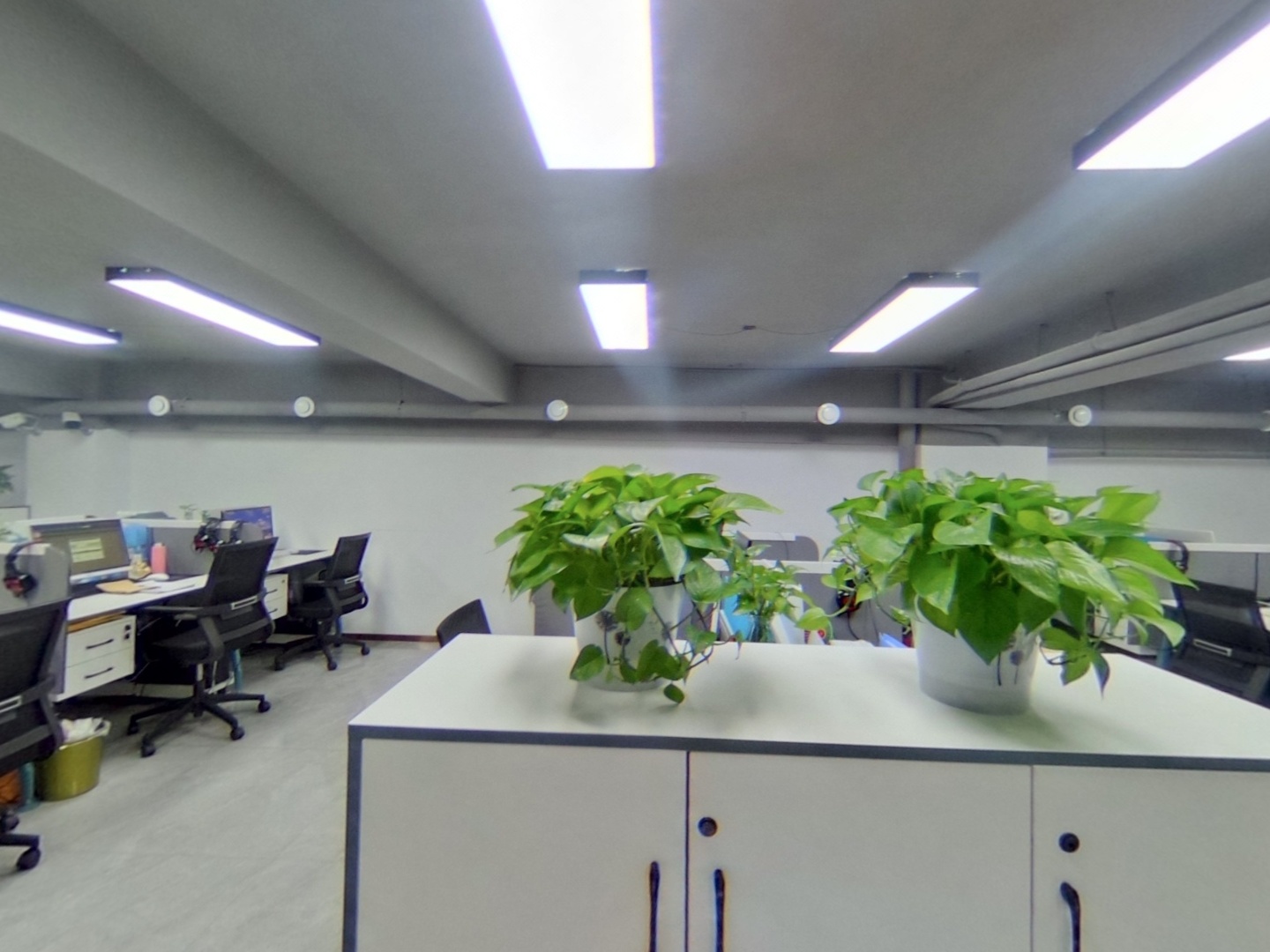 VR预览图