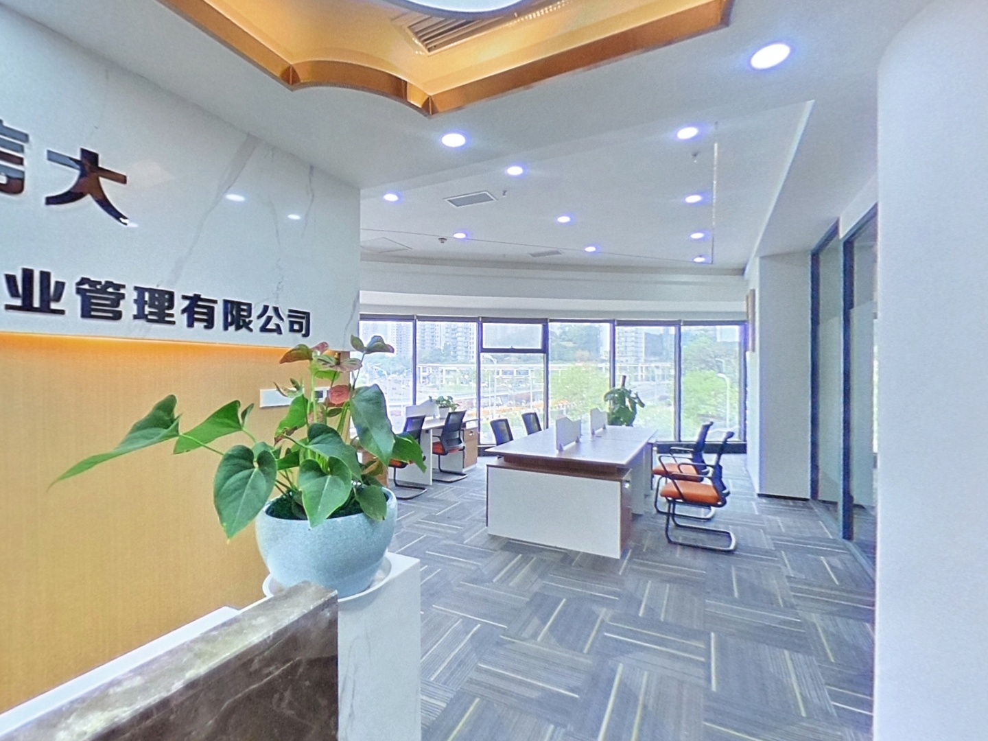 VR预览图