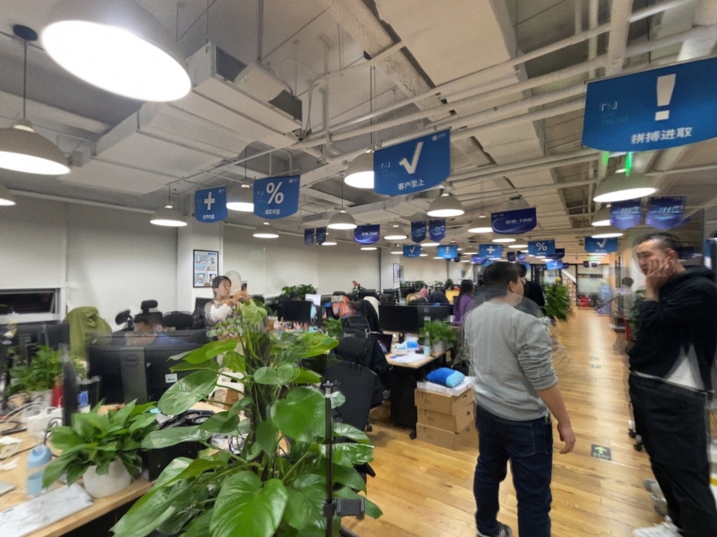 VR预览图