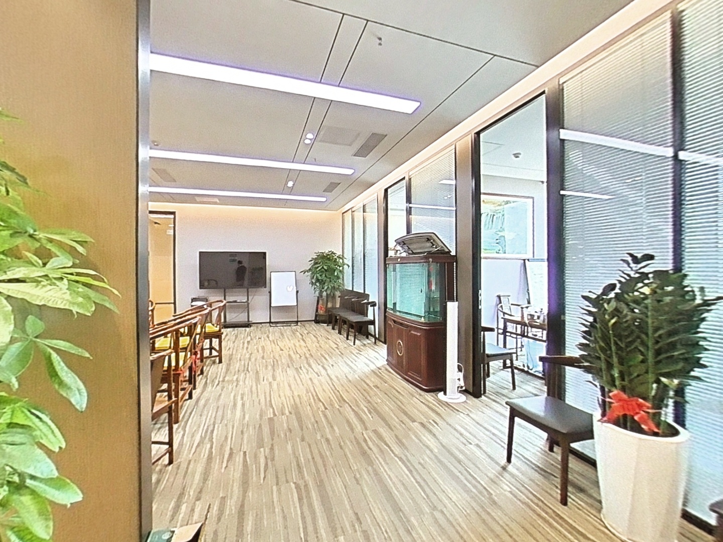VR预览图