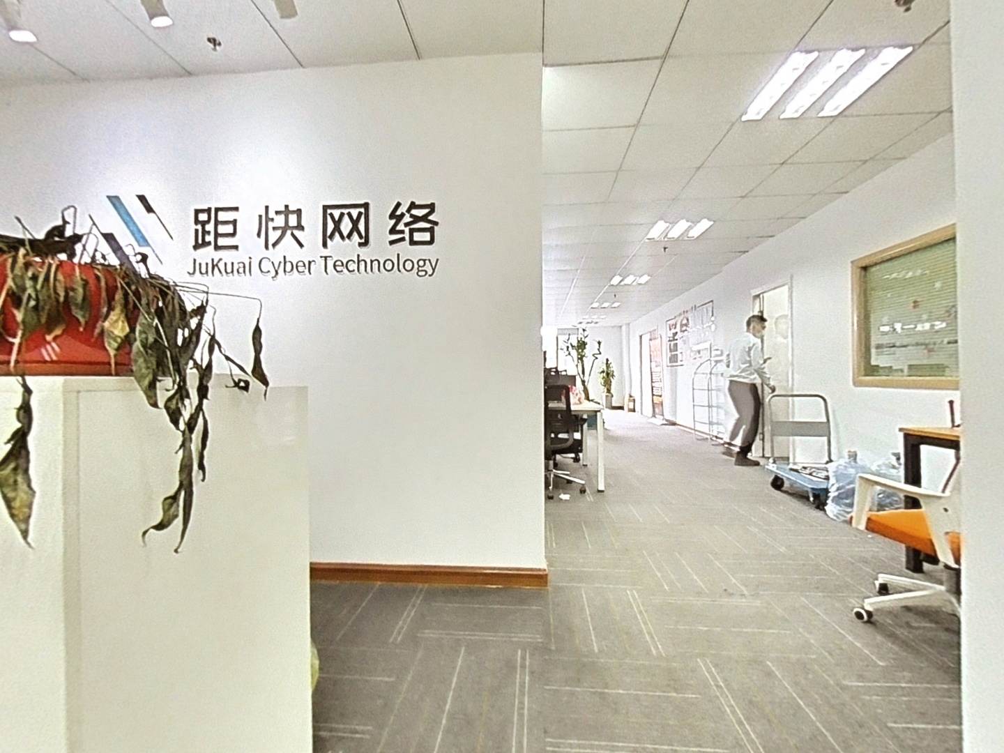 VR预览图