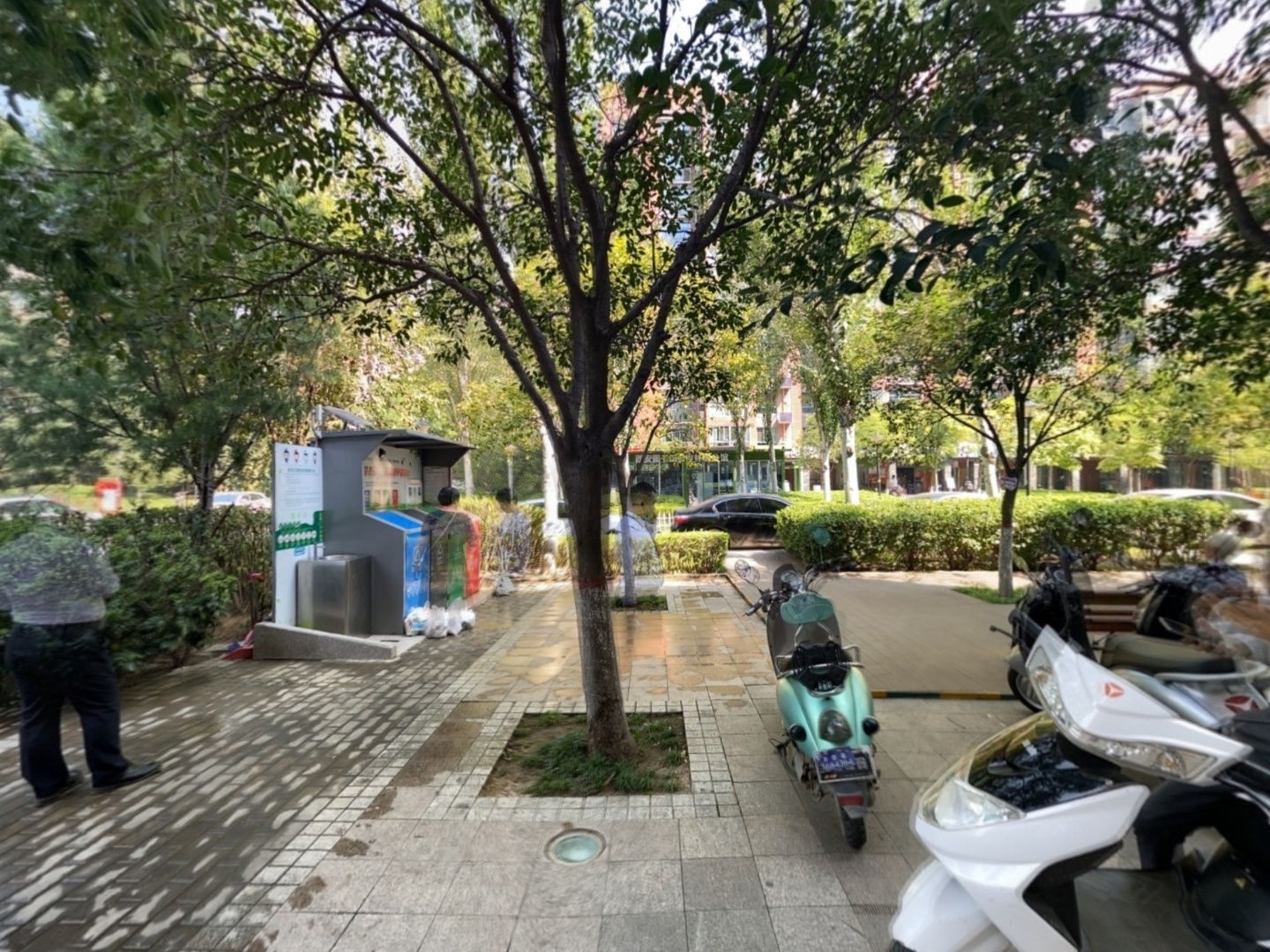 VR预览图