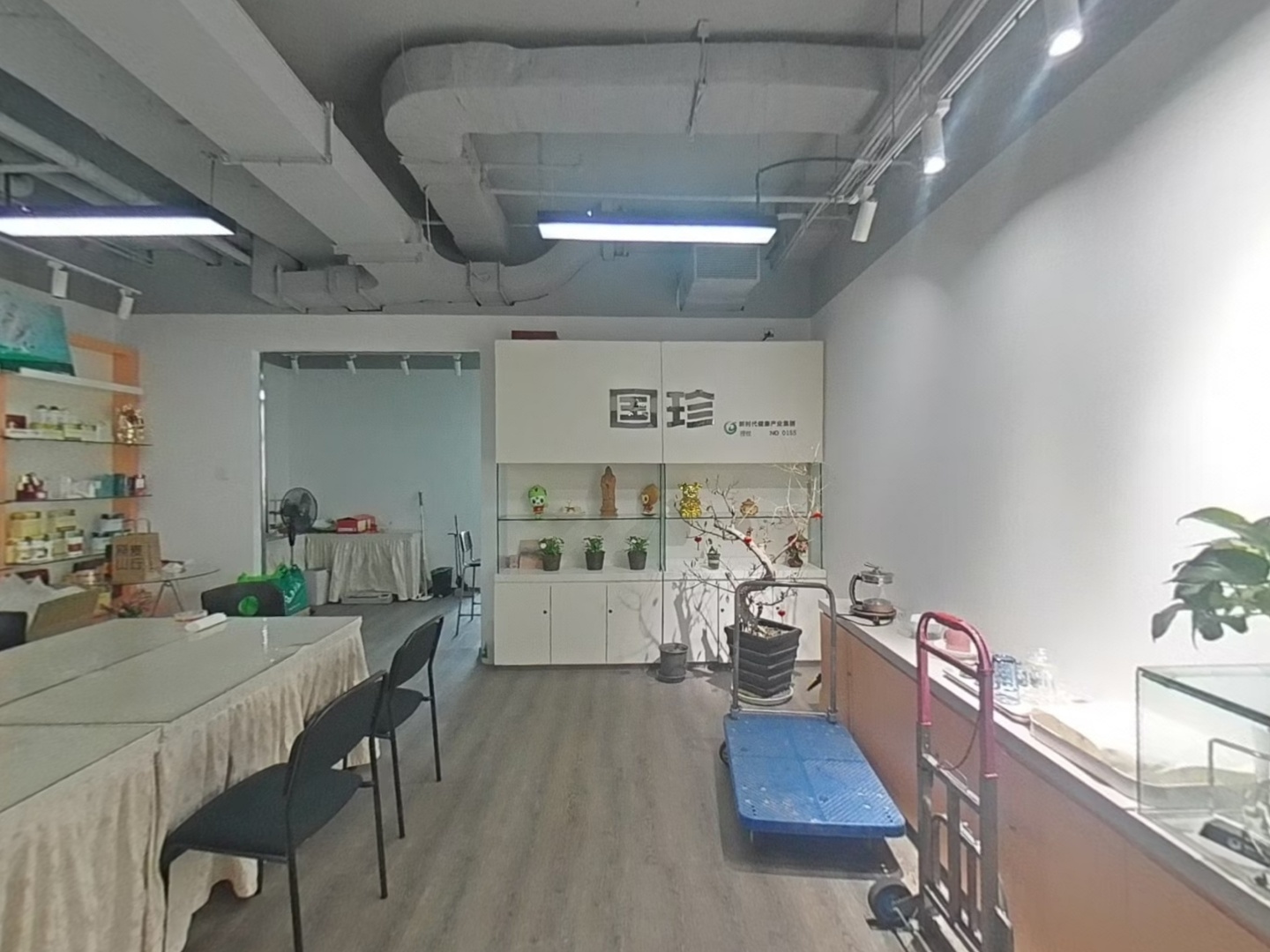 VR预览图