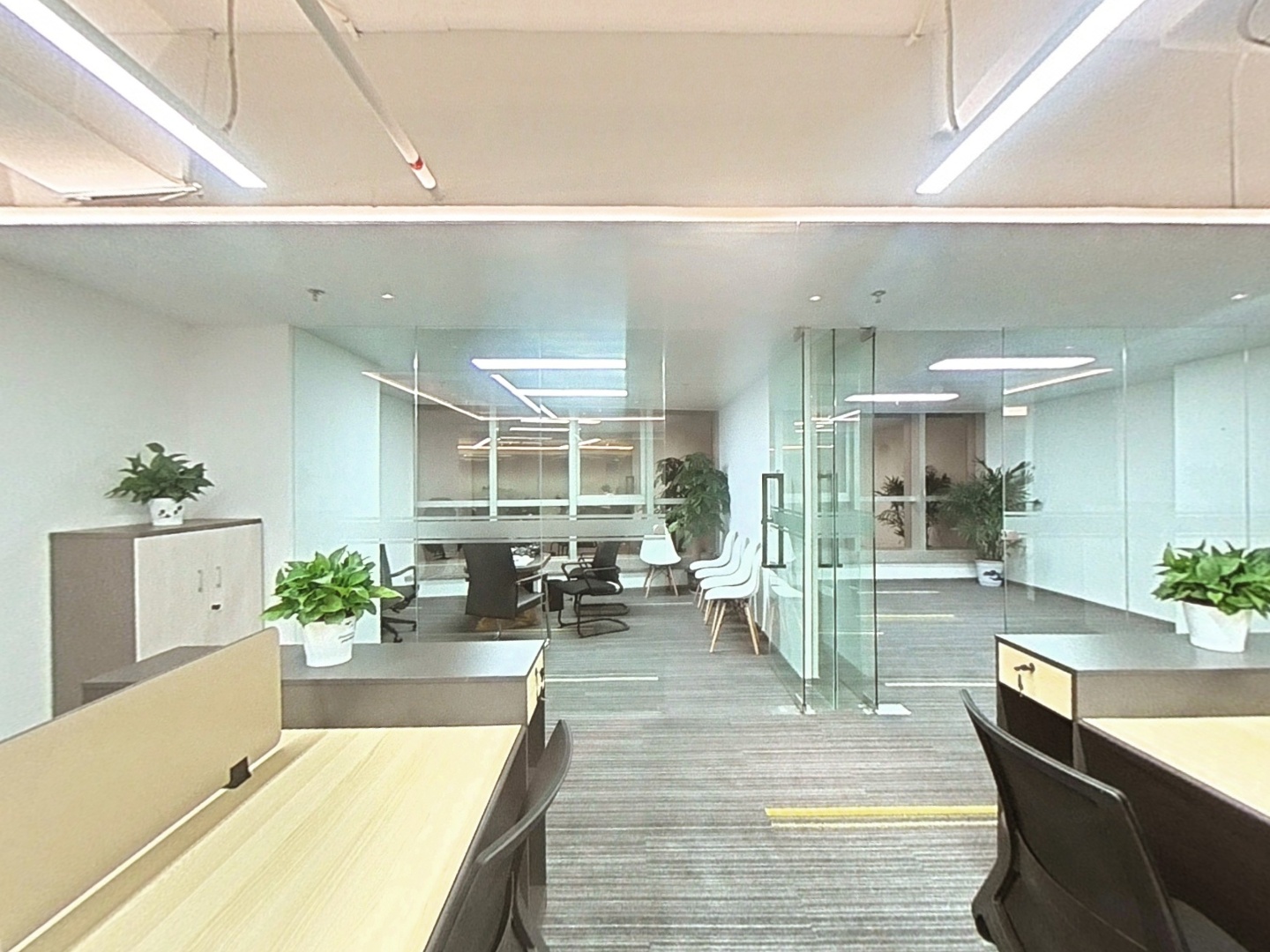 VR预览图
