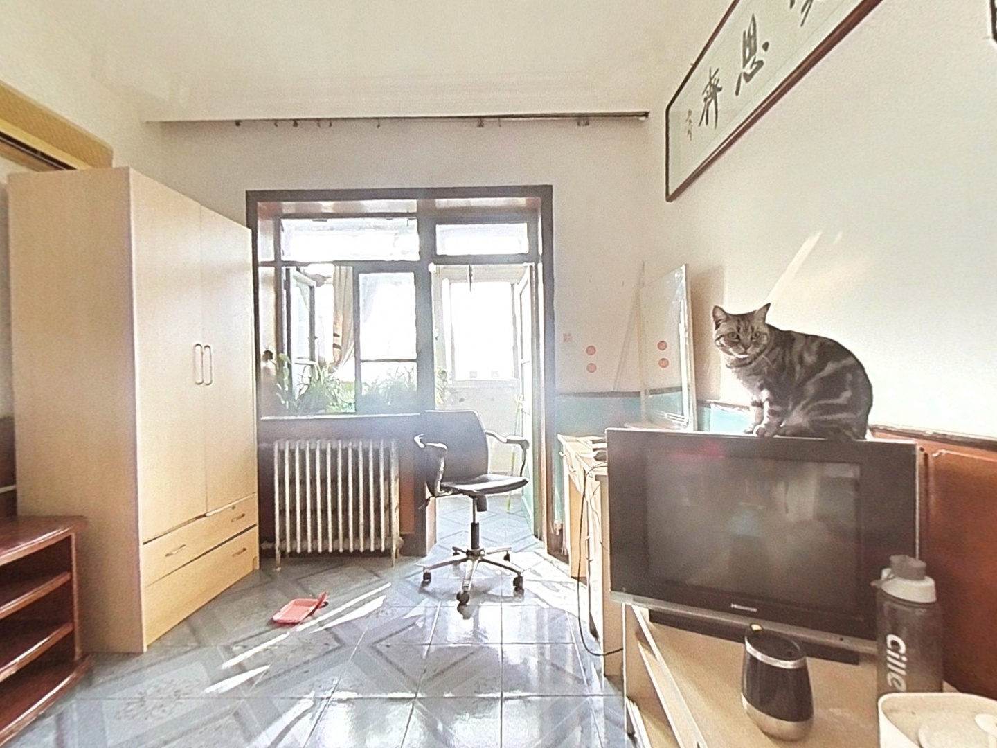 VR预览图