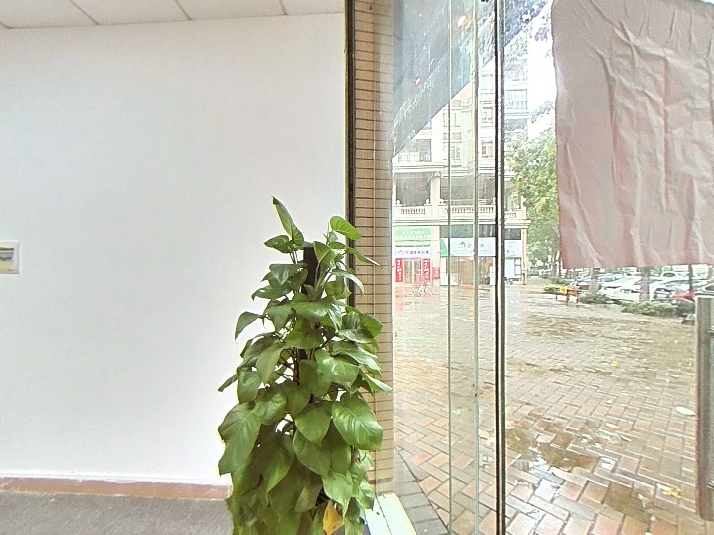 VR预览图