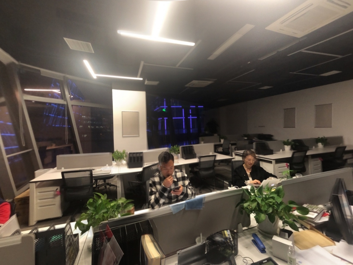 VR预览图