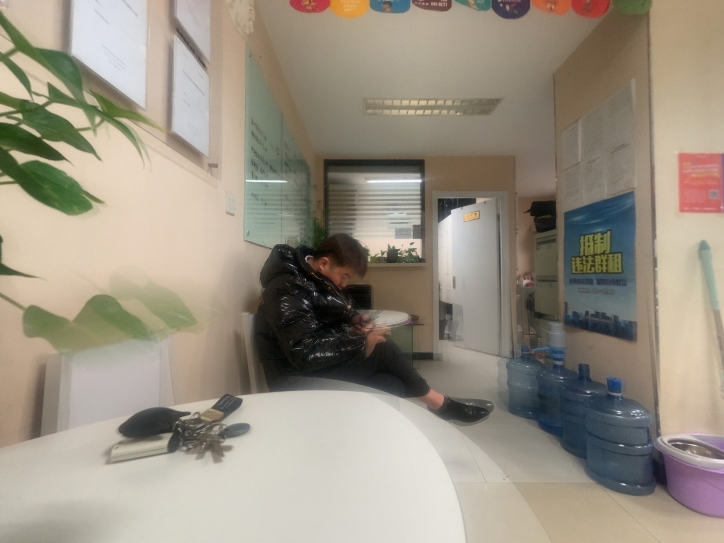 VR预览图
