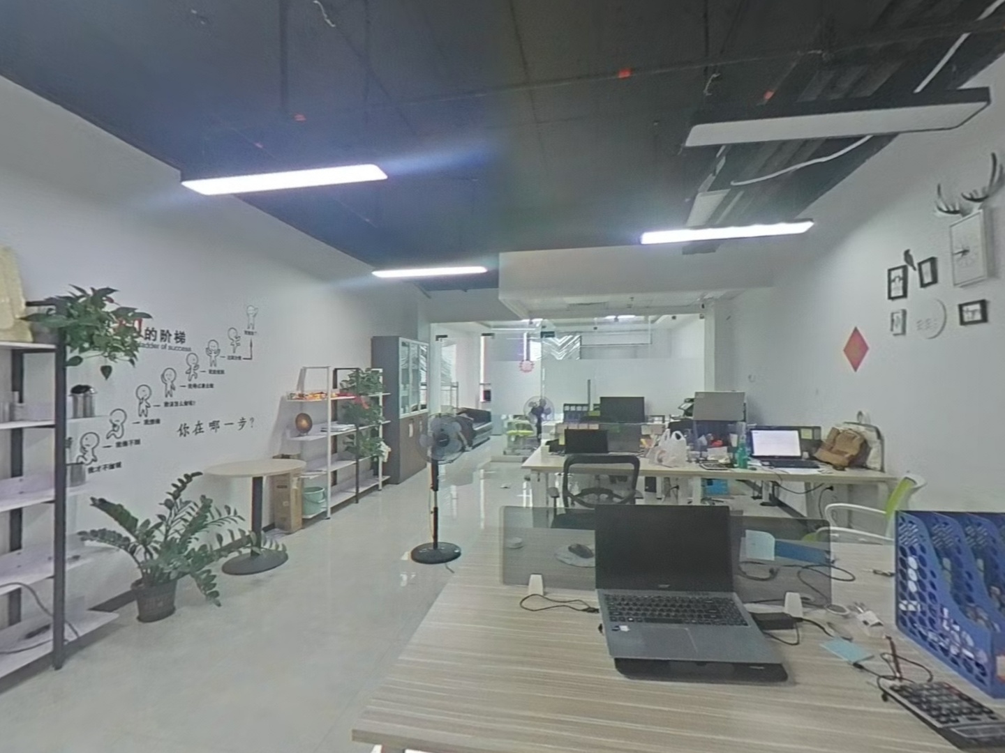 VR预览图