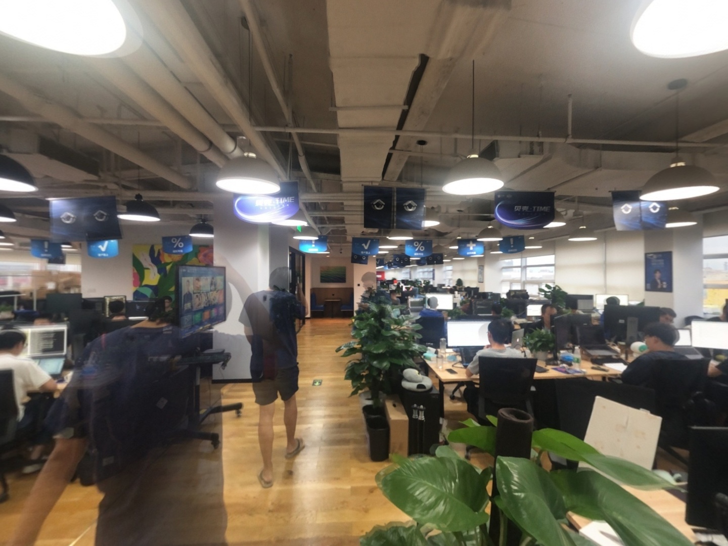 VR预览图