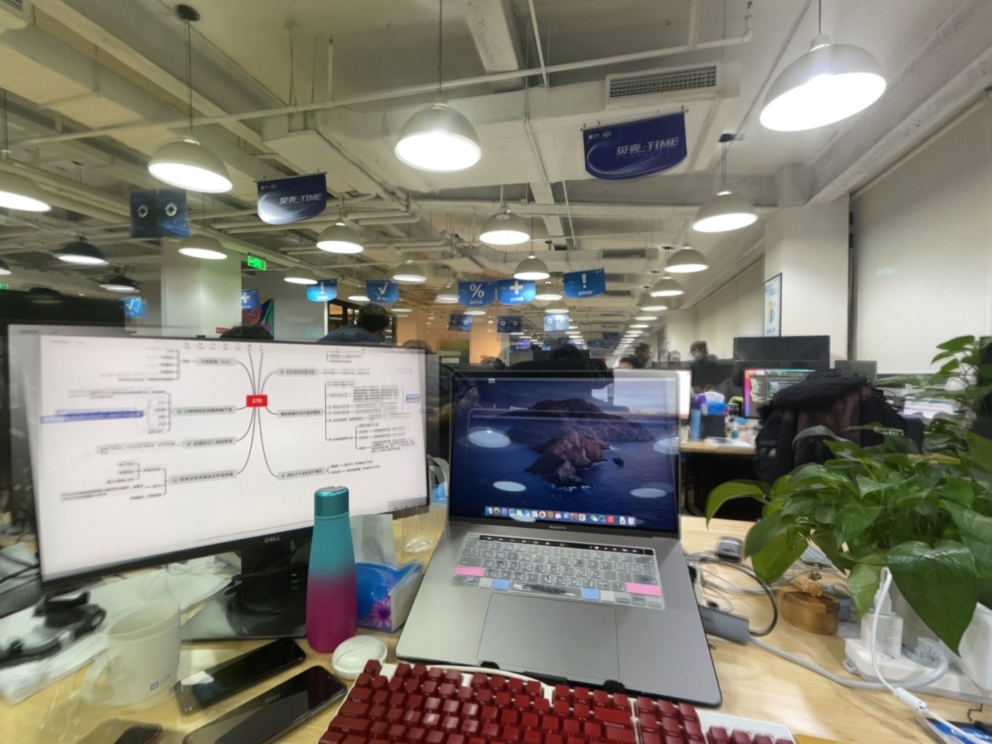 VR预览图