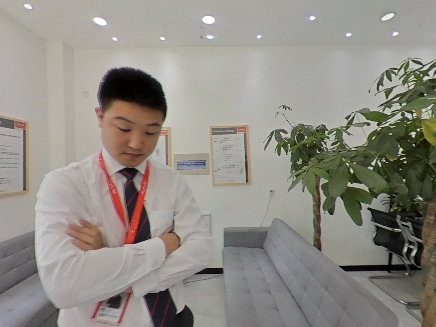 VR预览图