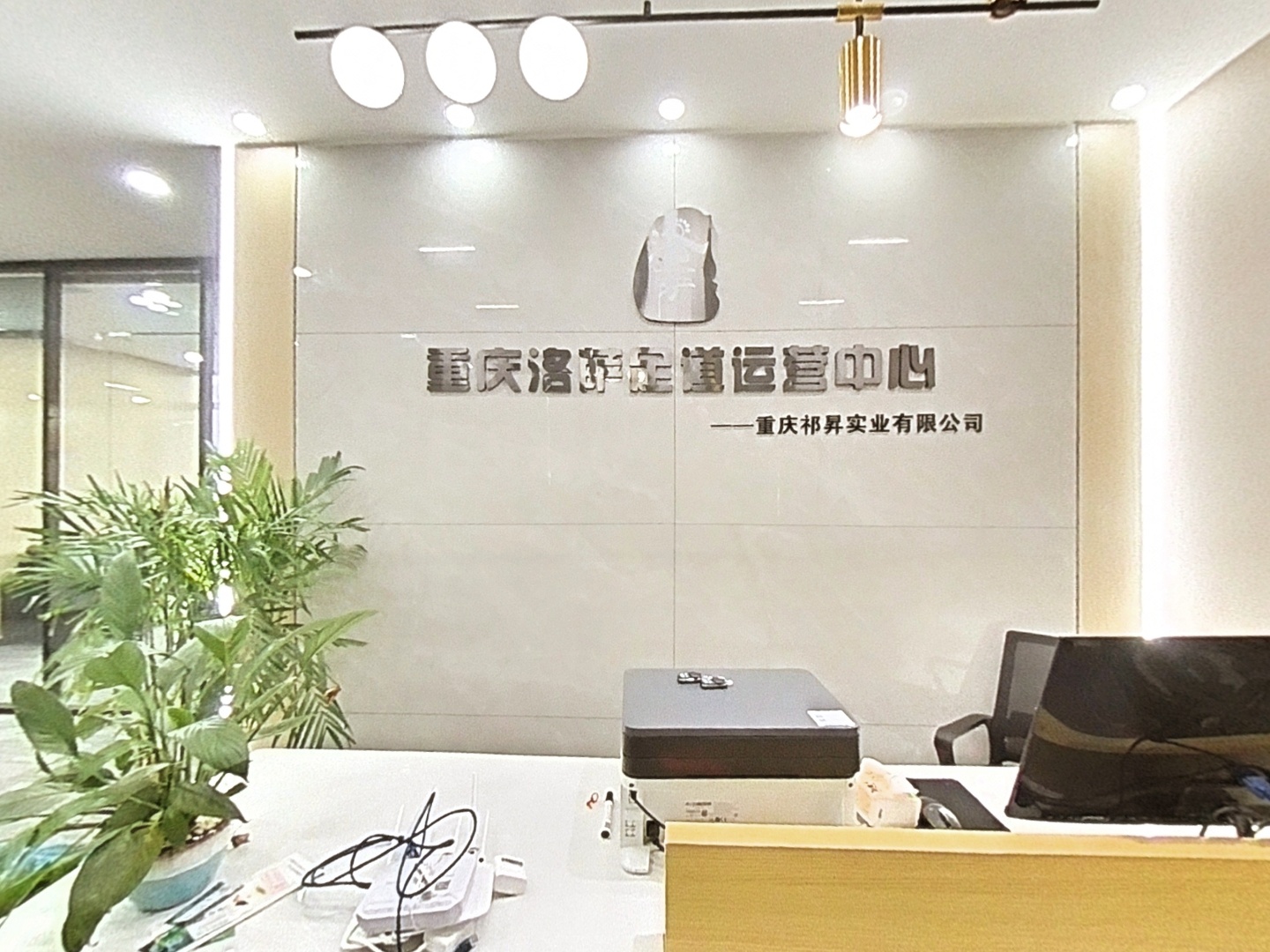 VR预览图