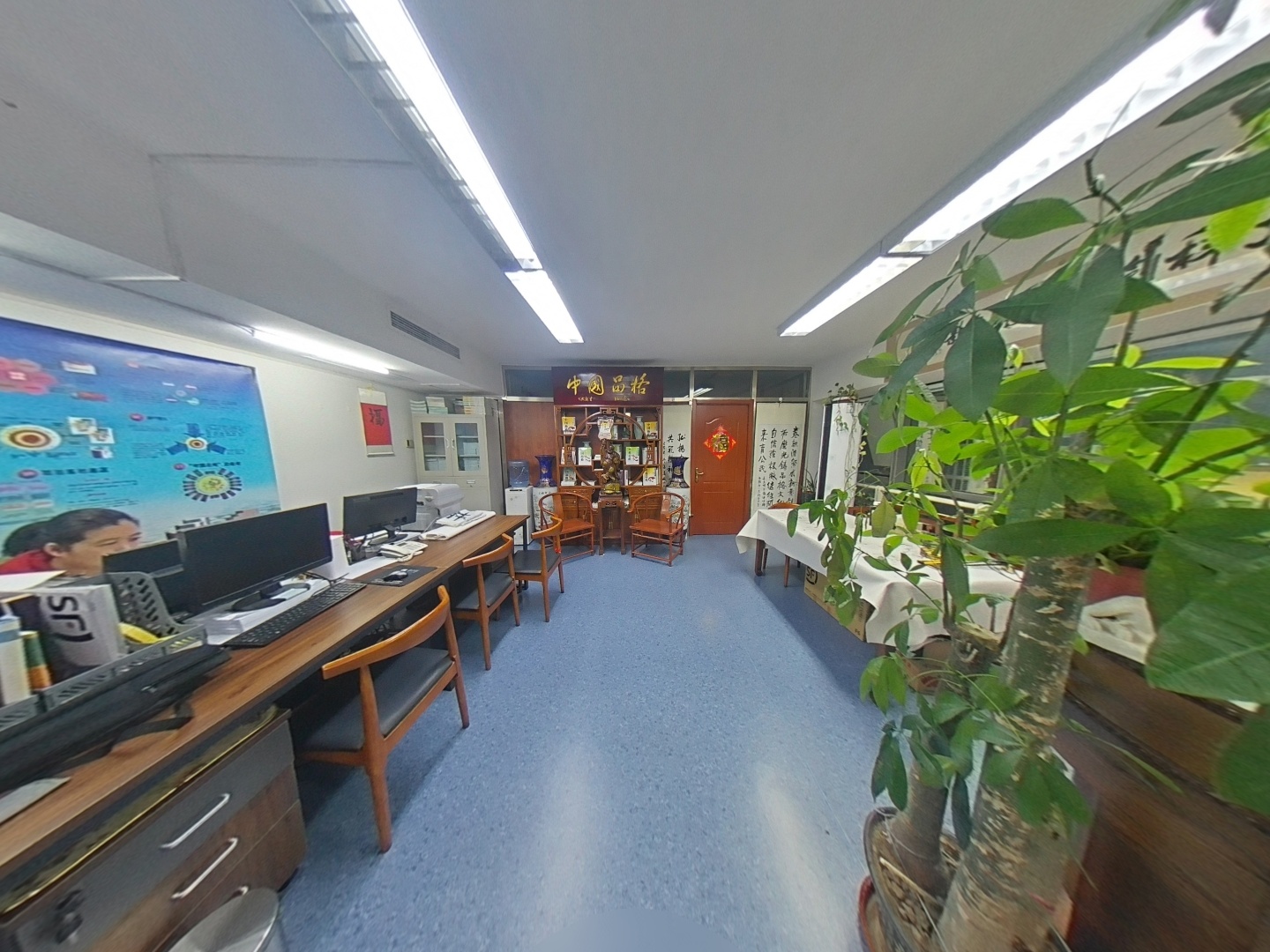 VR预览图