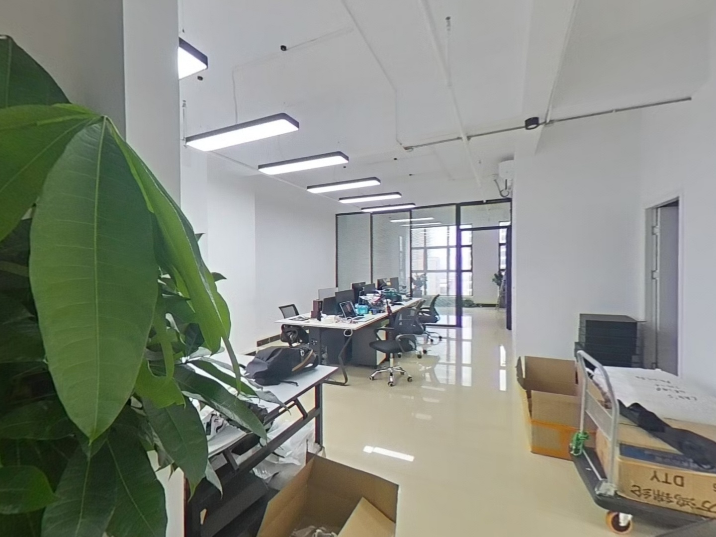 VR预览图