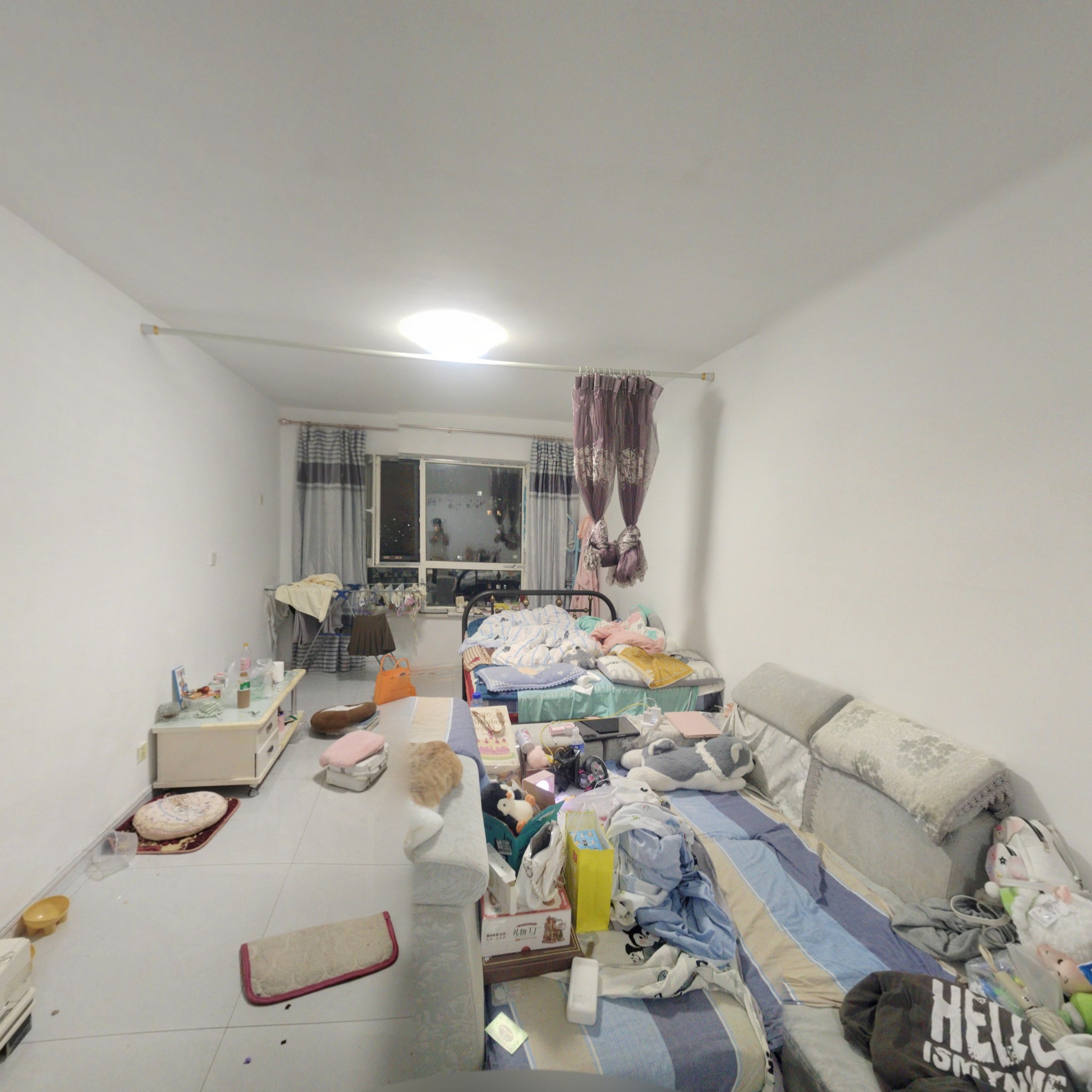 VR预览图