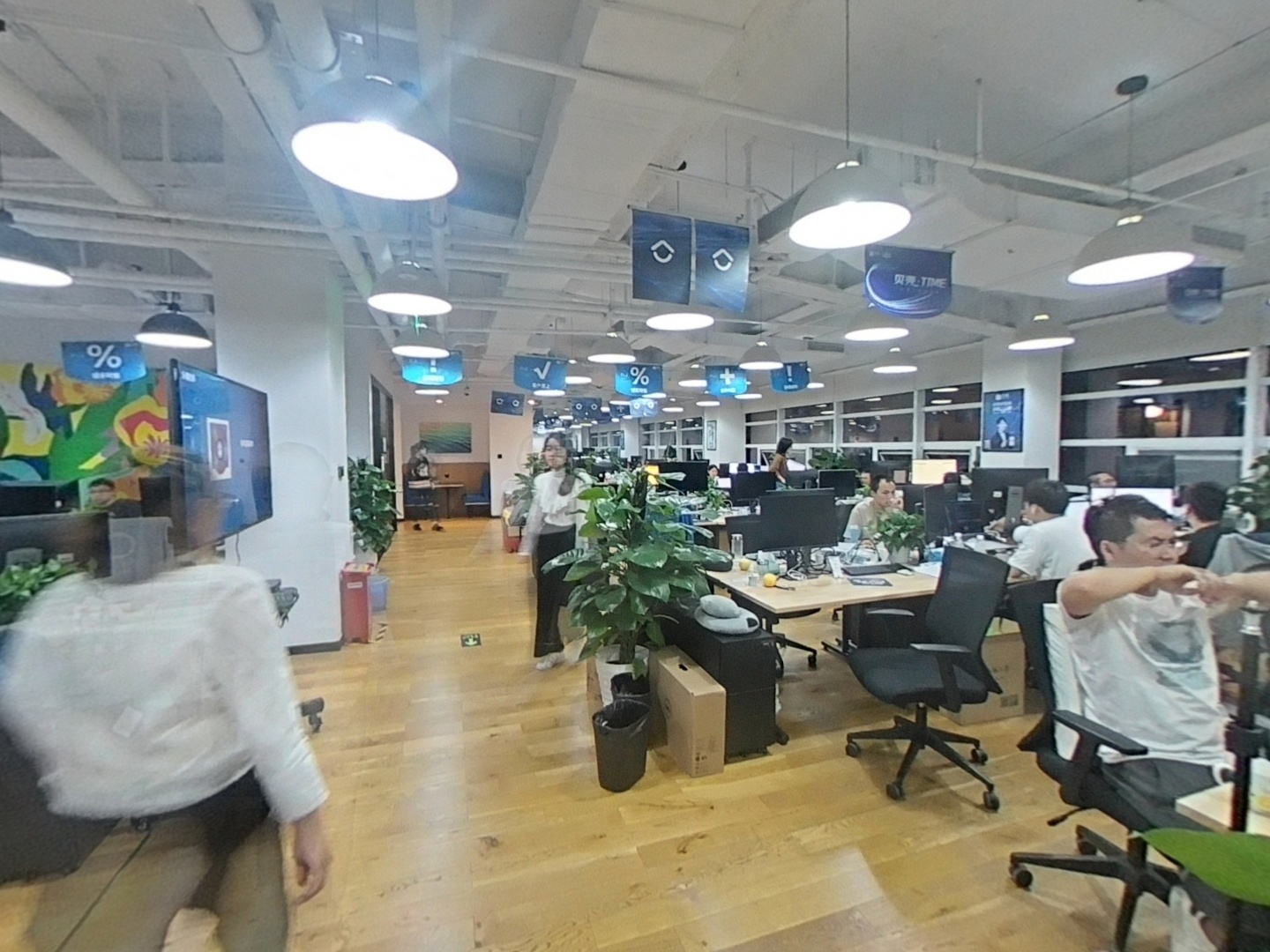 VR预览图