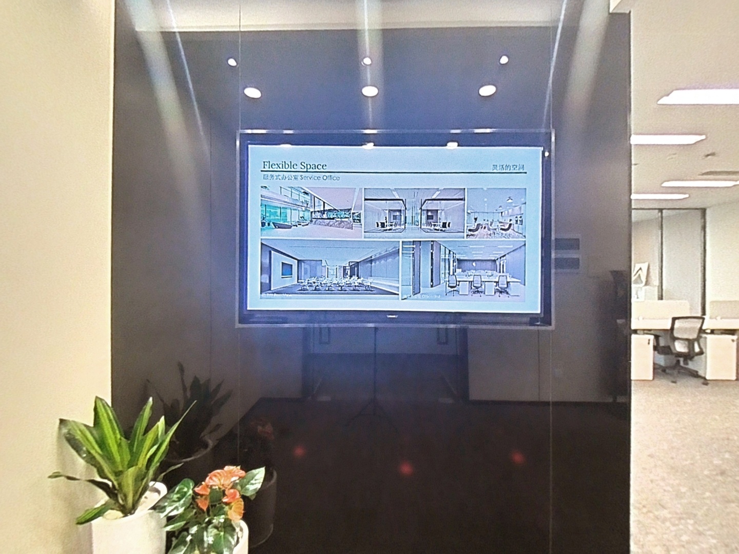 VR预览图