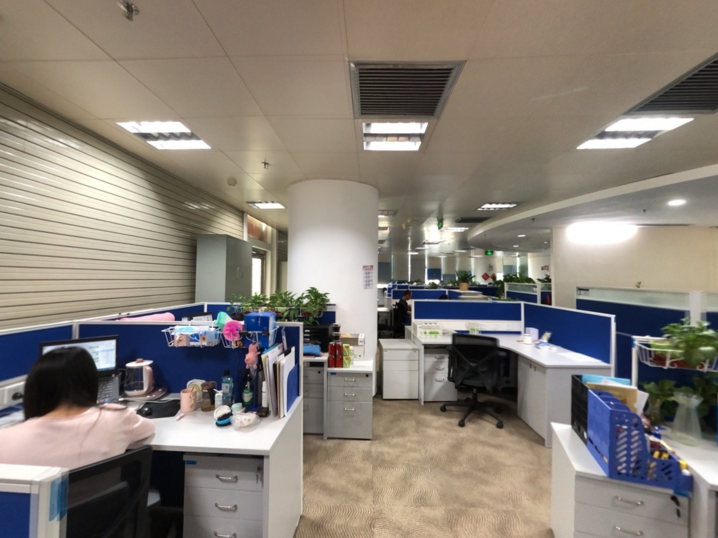 VR预览图