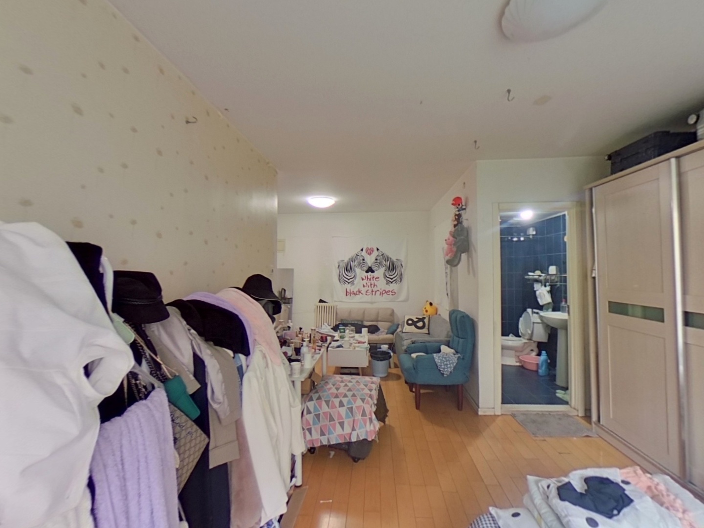 VR预览图
