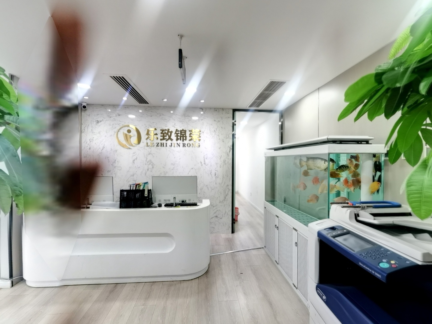 VR预览图
