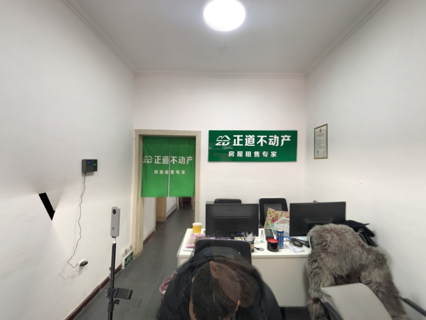 VR预览图