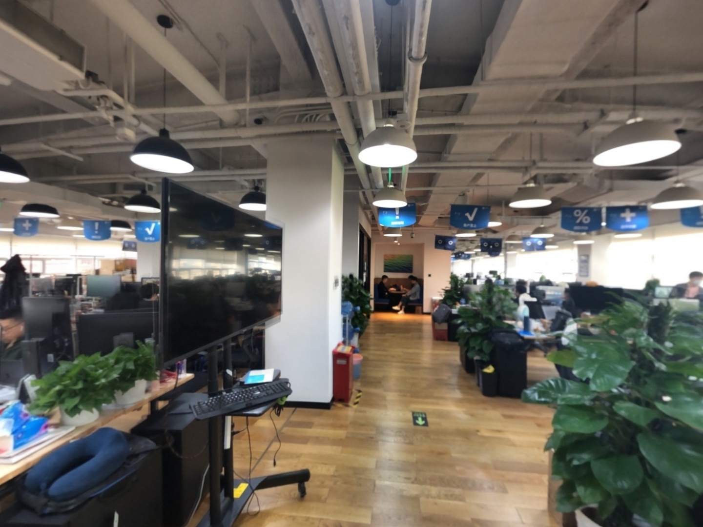 VR预览图