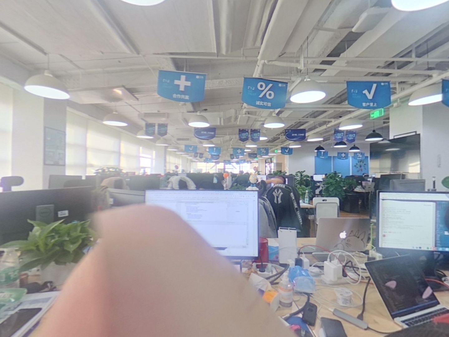 VR预览图
