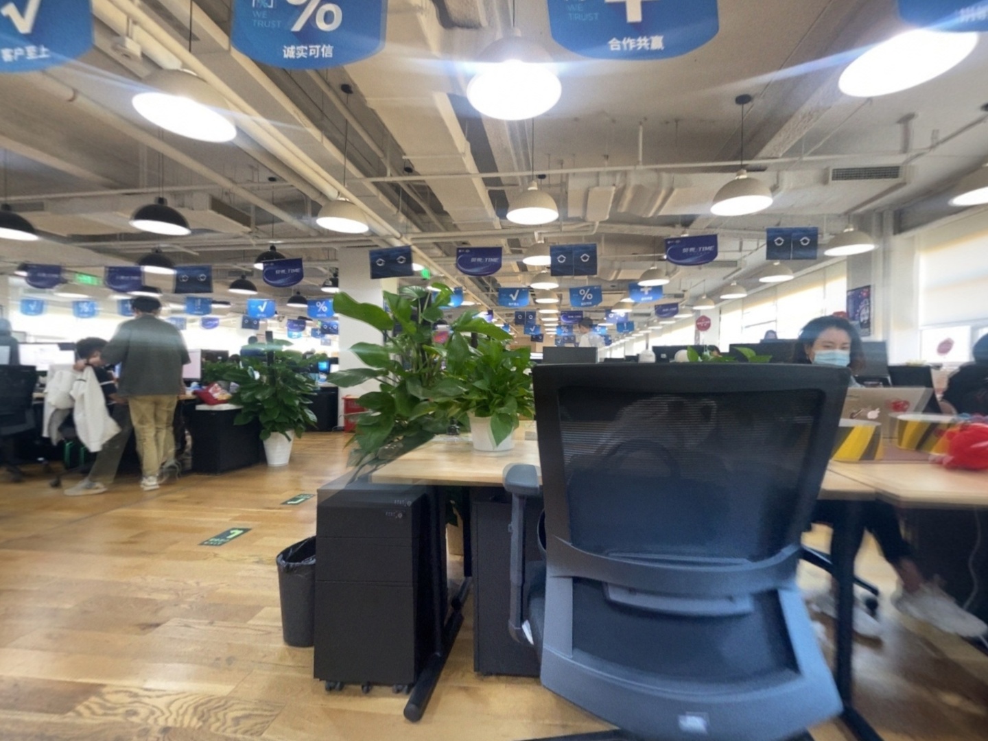VR预览图