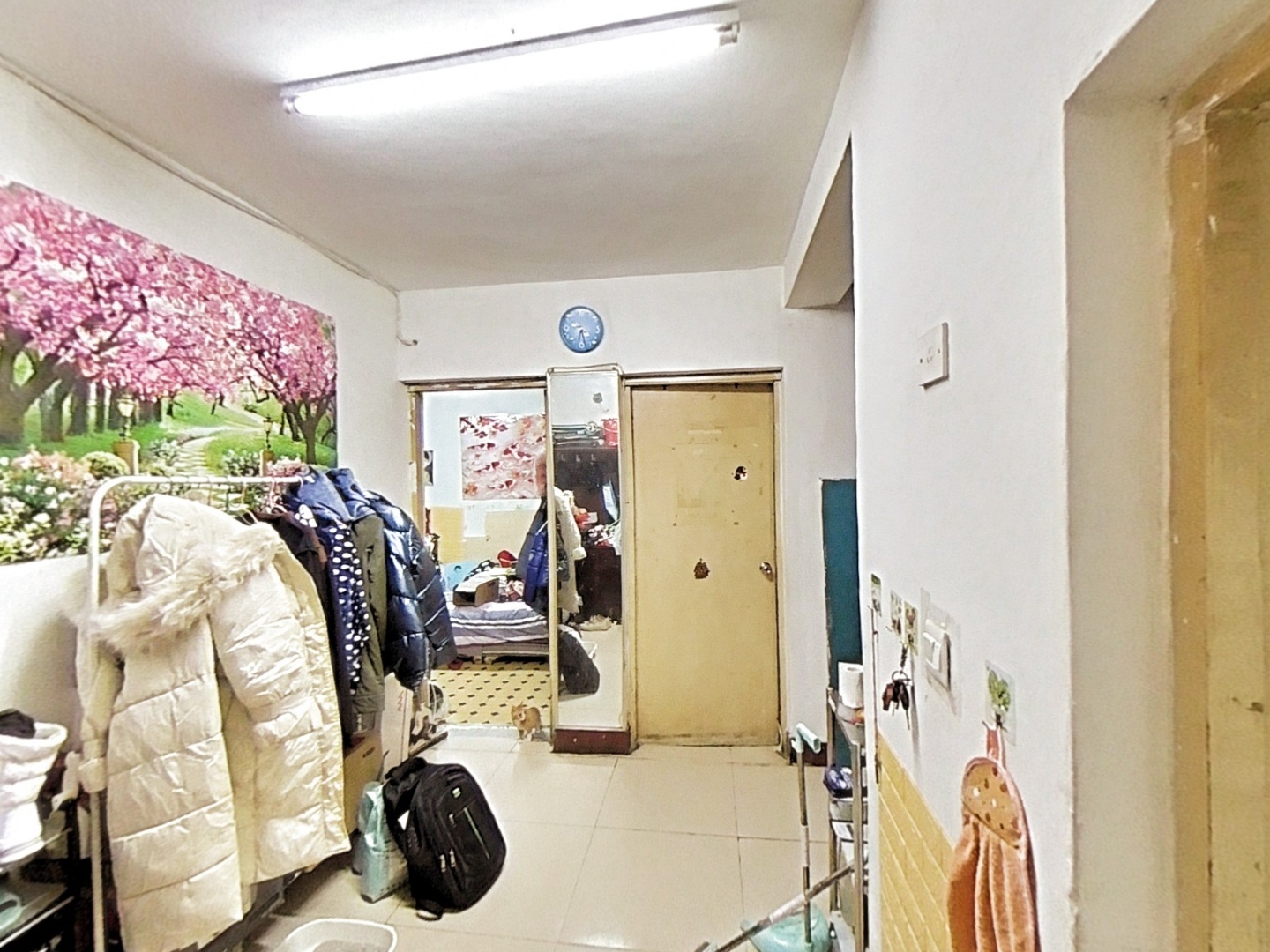 VR预览图