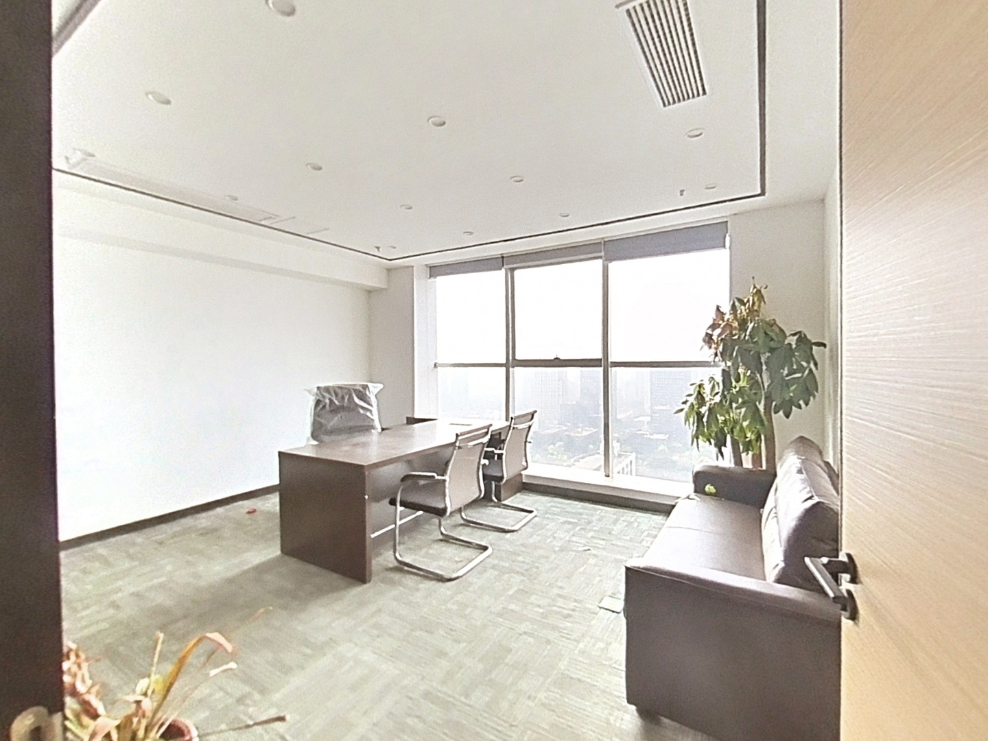 VR预览图