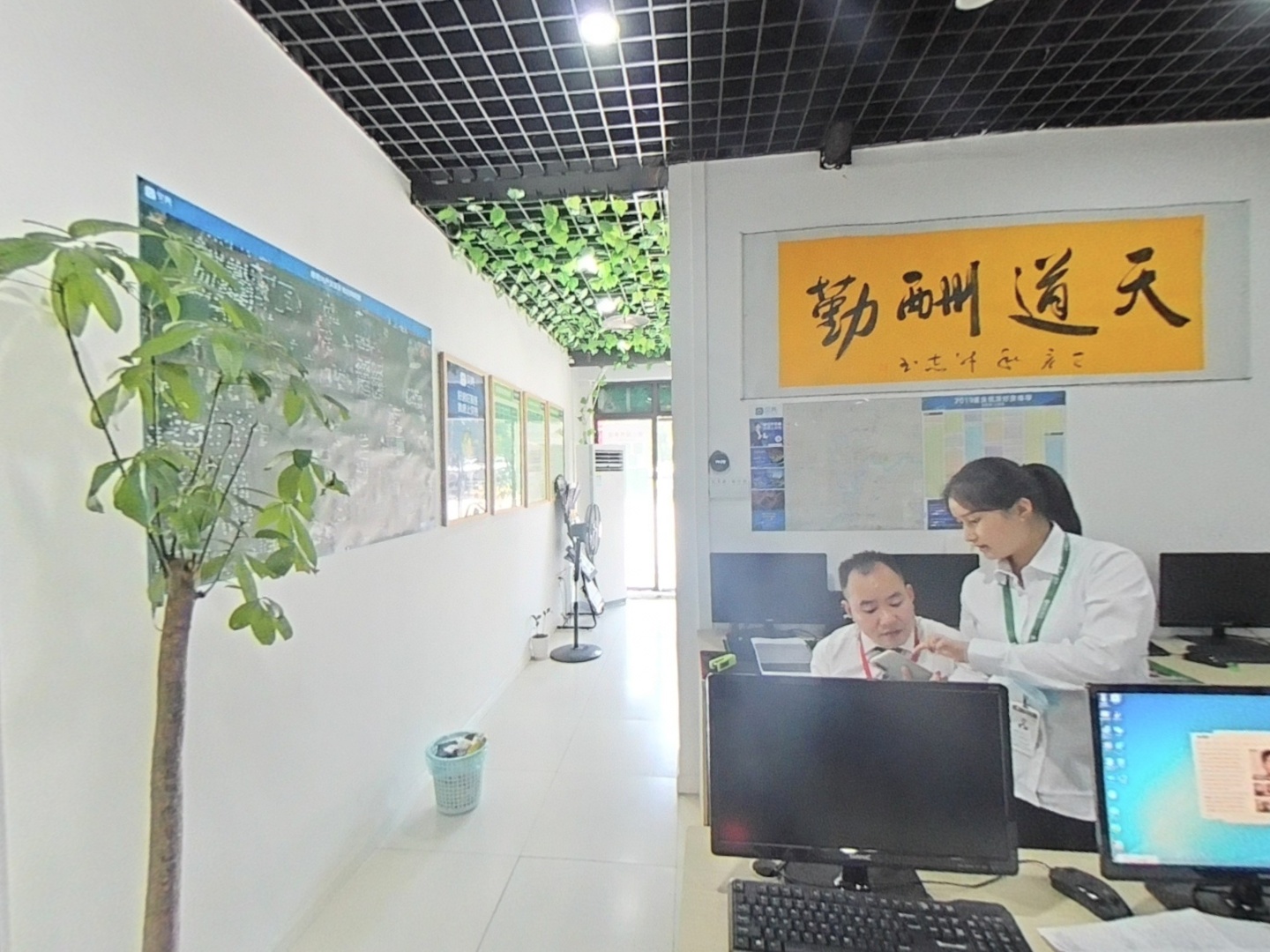 VR预览图
